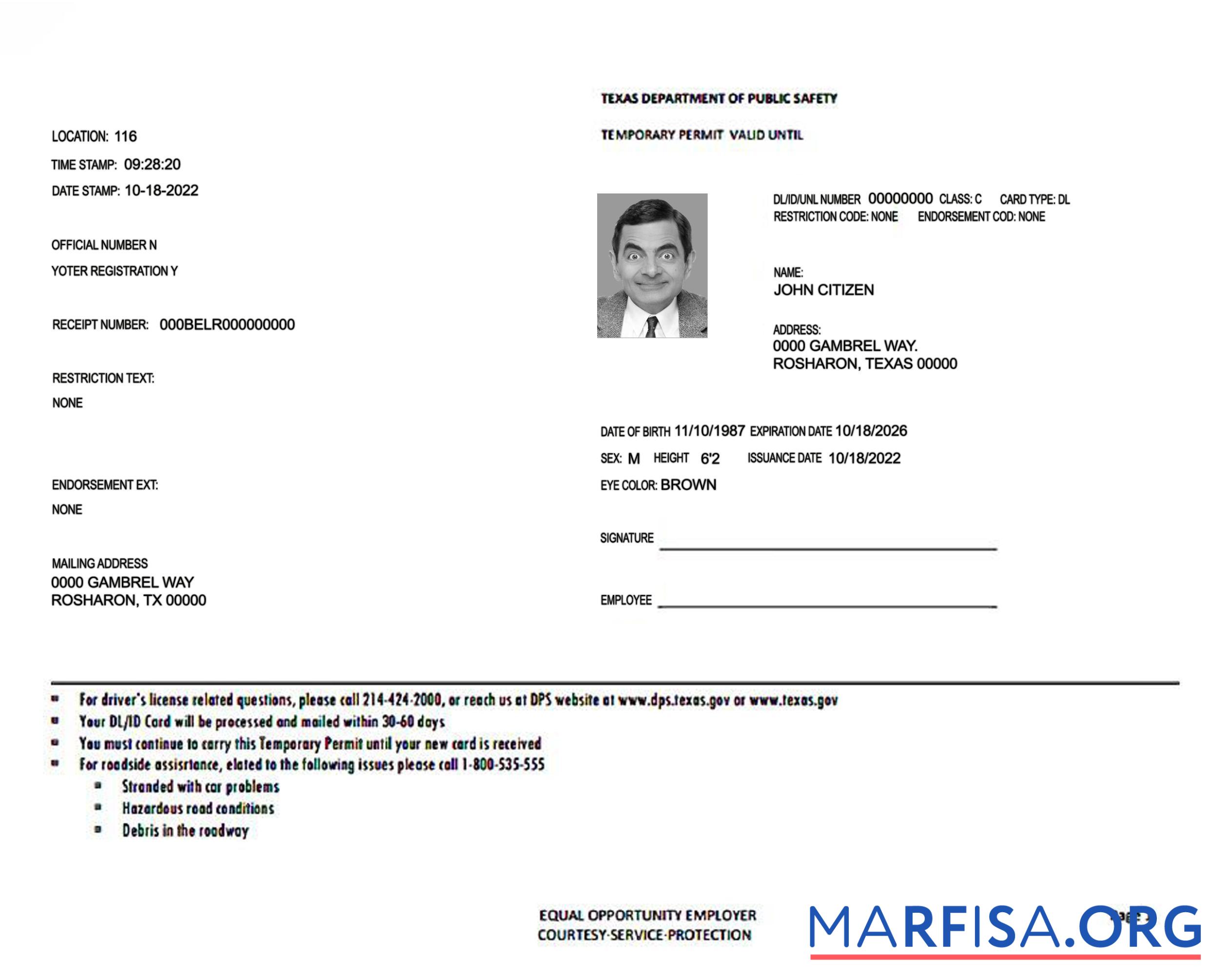 Realistic USA Texas temporary permit download for verification